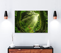 Obraz Chodník v džungli 1442